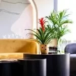 denta-marla-clinic-07